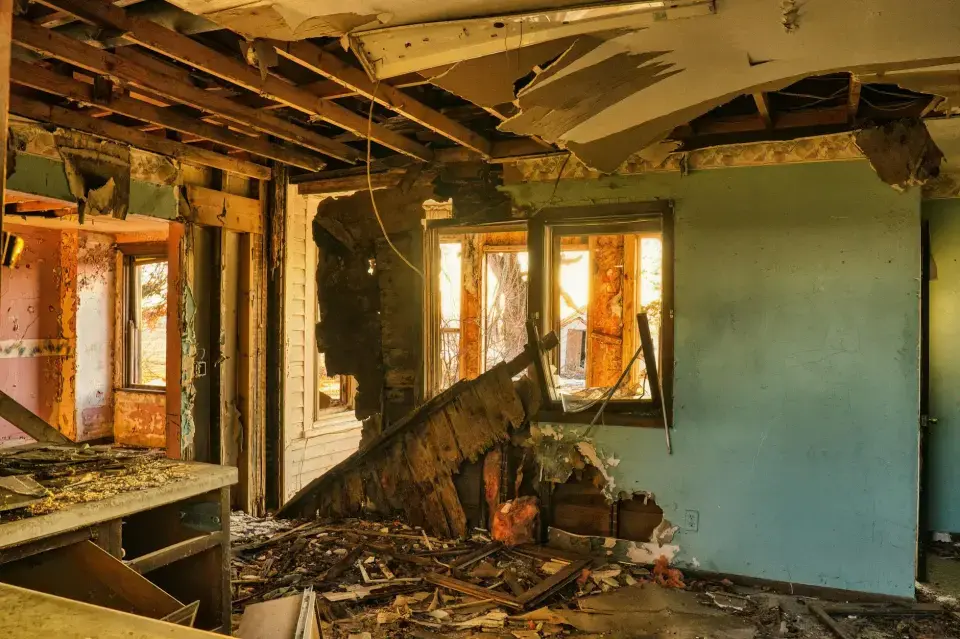 Bakersfield’s Trusted Mold Removal Specialists — Bakersfield, CA